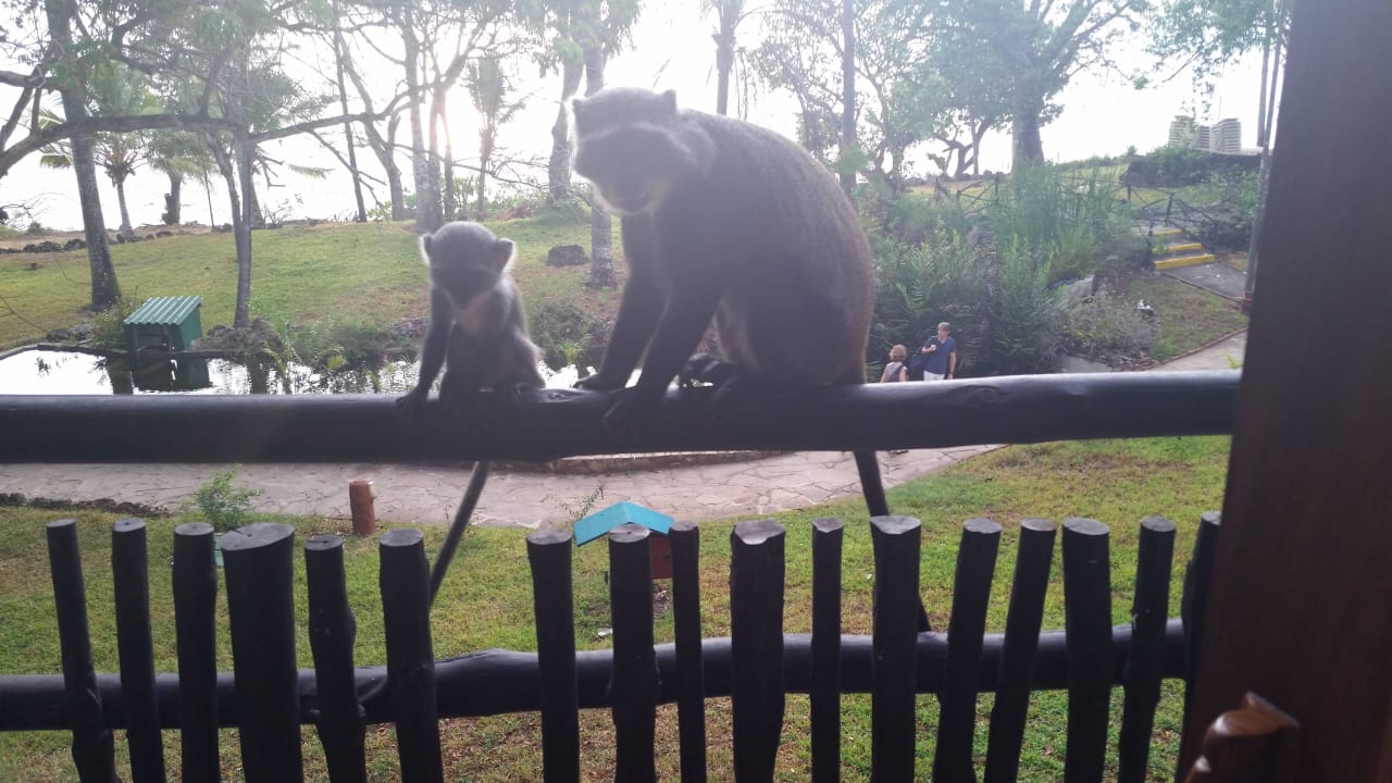 Hotel Baobab Beach Resort Baobab Beach Resort & Spa