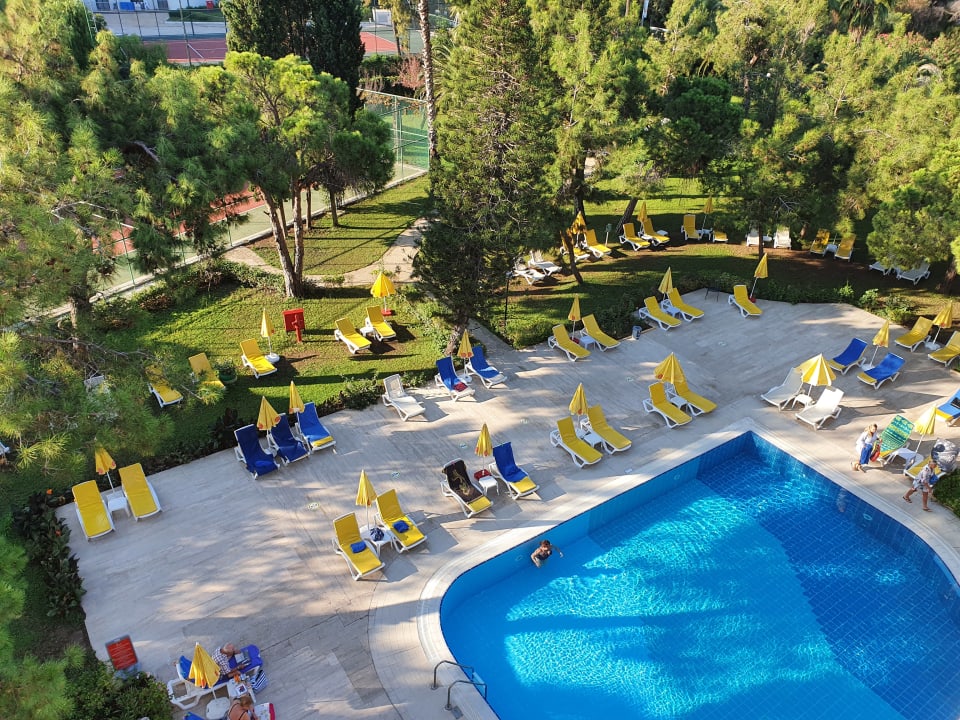 Pool Asteria Collection Side