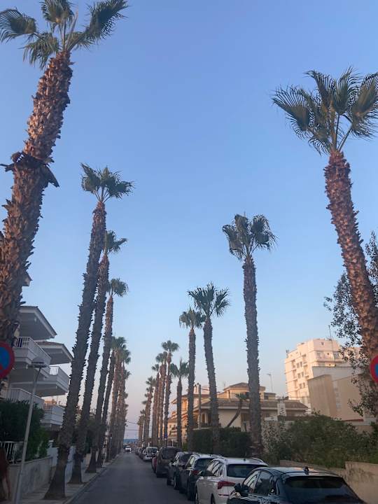 Strand Zafiro Mallorca