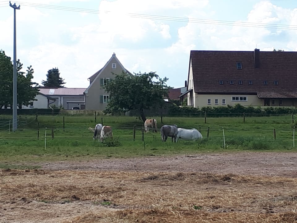 Sport & Freizeit Hotel Reiterhof Altmühlsee
