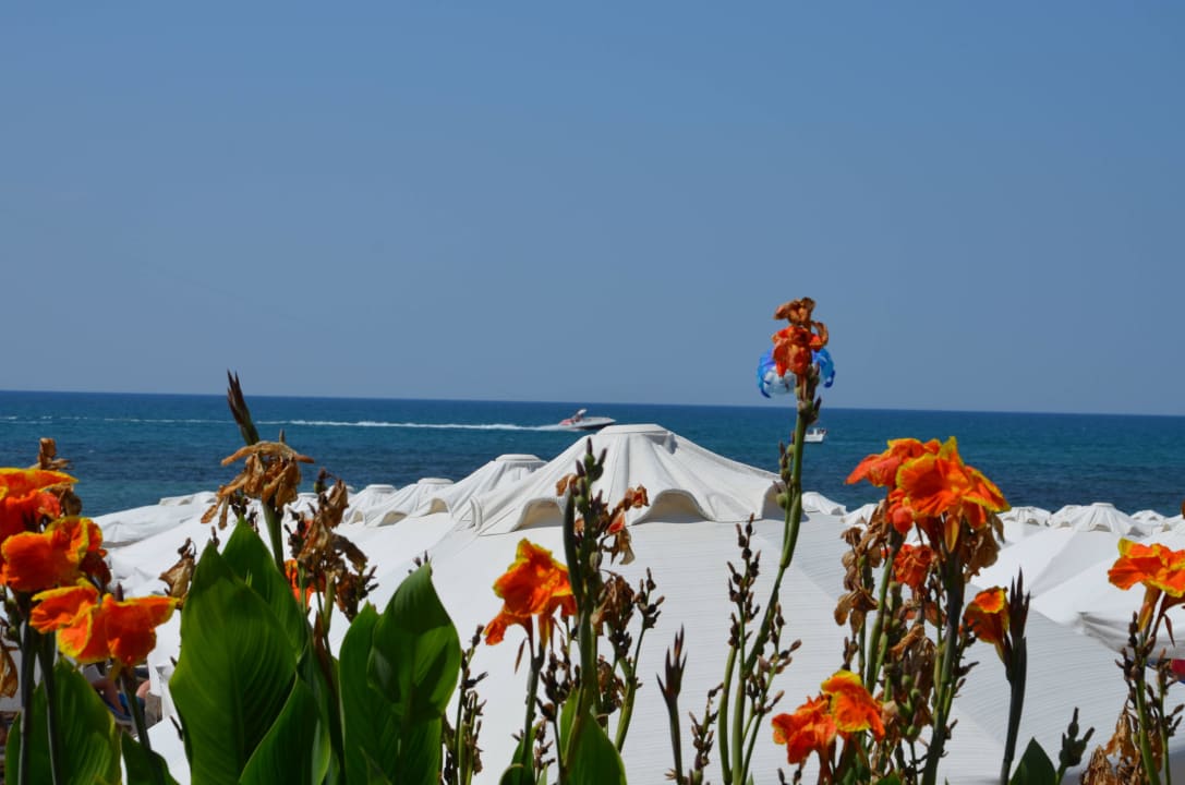 Strand Seaden Corolla Hotel