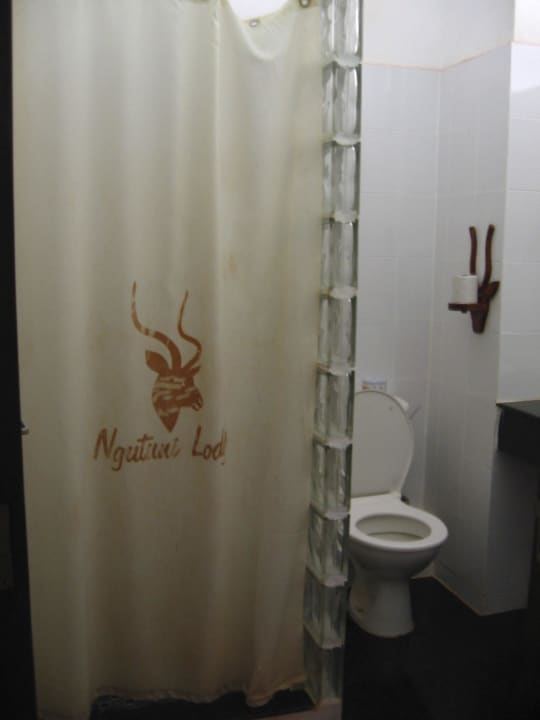 Bad links Dusche und WC Ngutuni Safari Lodge