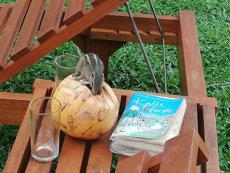 Sonstiges Mermaid Hotel & Club