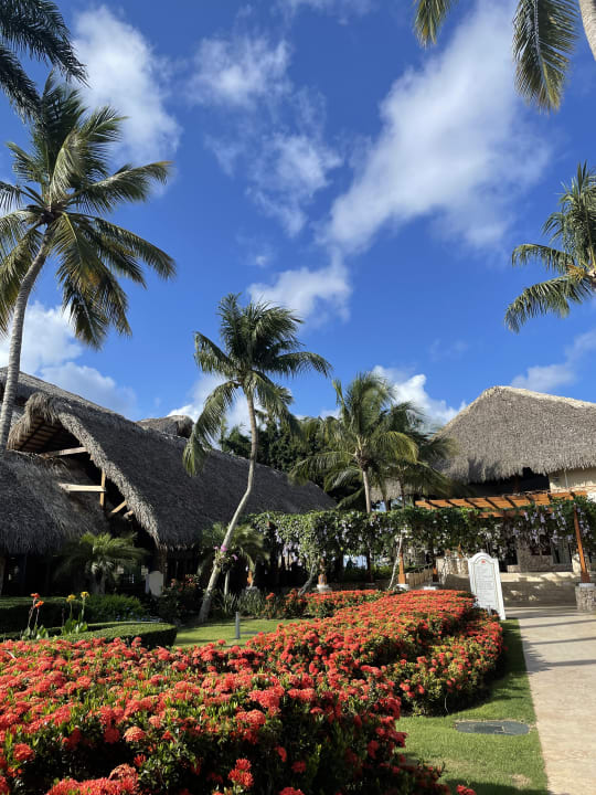 Außenansicht Hotel Viva Dominicus Beach by Wyndham - All Inclusive Resort