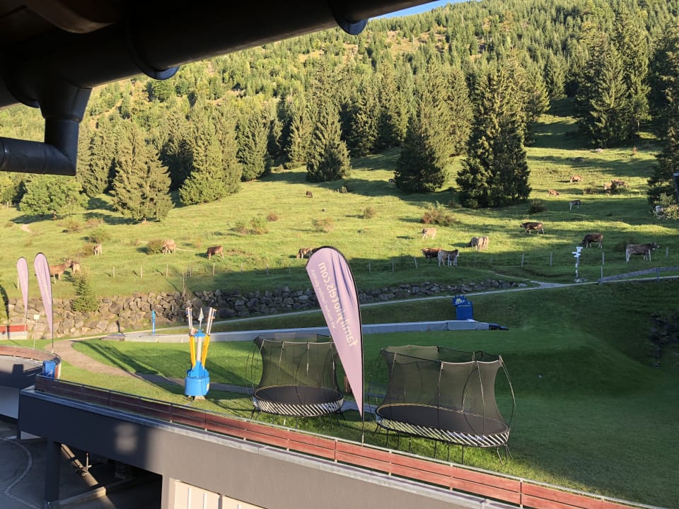 Ausblick Oberjoch - Familux Resort