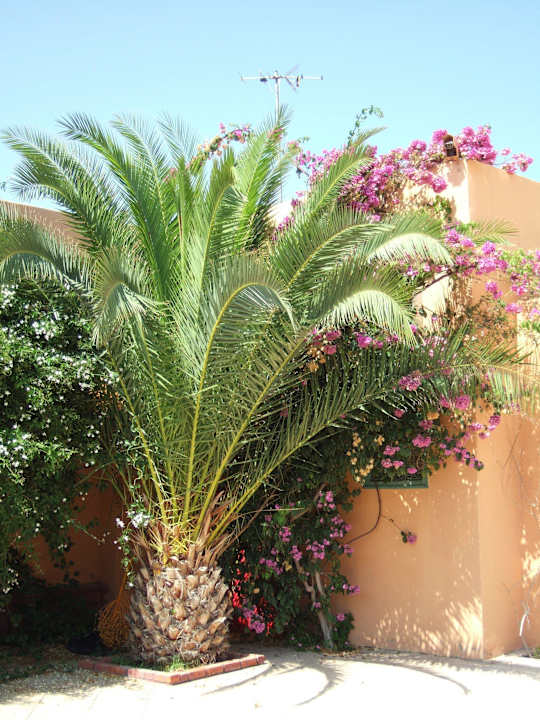 Hübsche Anlage El Ksar Resort & Thalasso