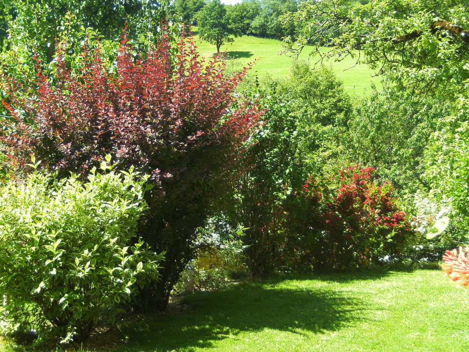 Gartenanlage Biobauernhof Schranbachhof