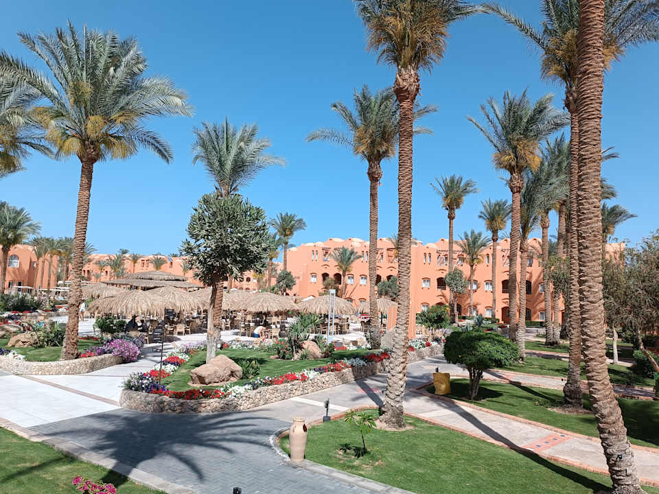 Gartenanlage Jaz Makadi Oasis Resort