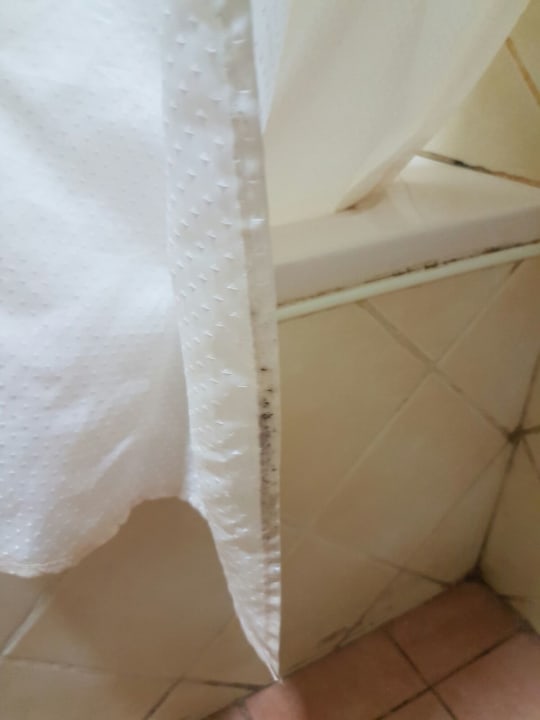 Zimmer Royal Beach Resort