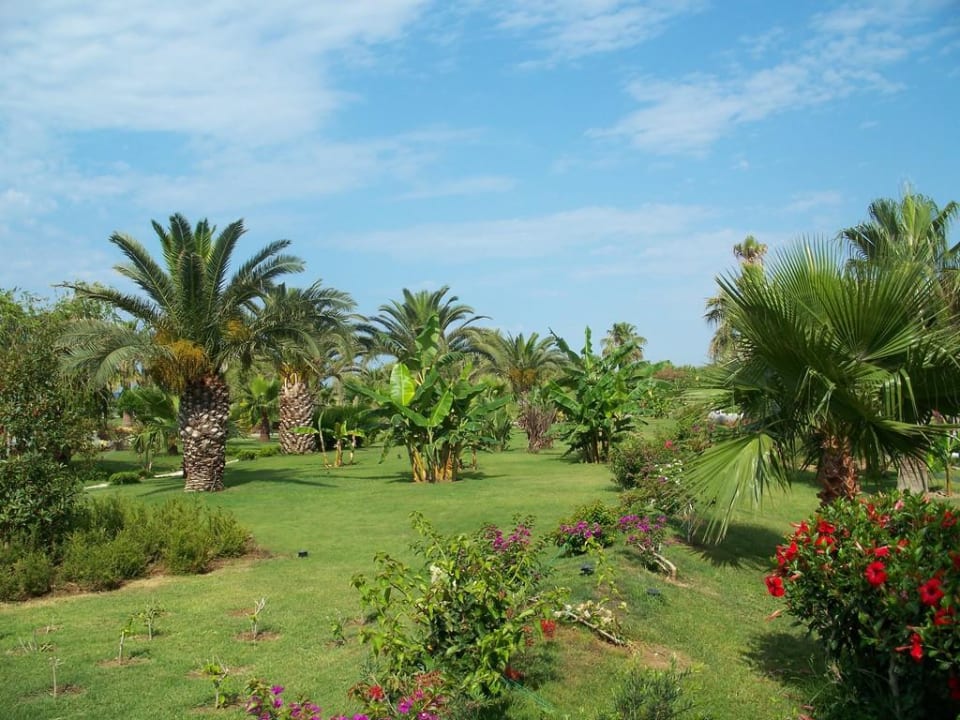 Garten VONRESORT Golden Coast