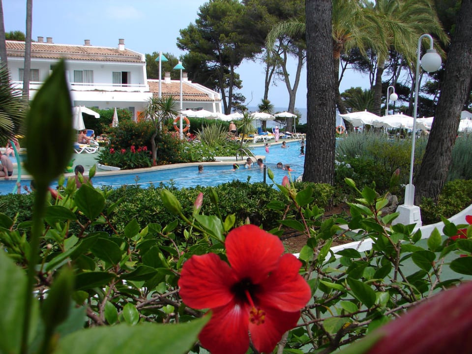 Blick von Terrasse Iberostar Waves Pinos Park