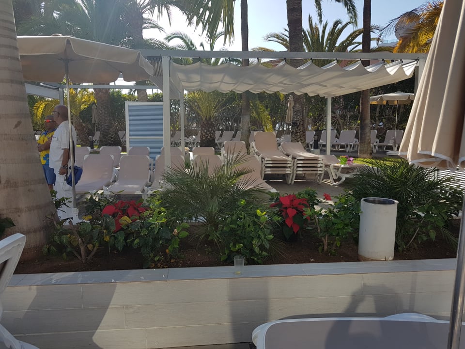 Pool Hotel Riu Papayas