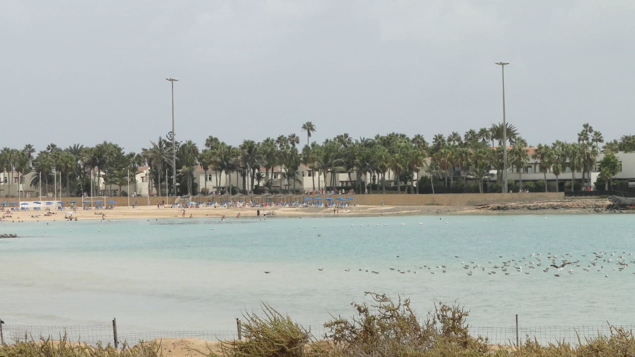 Blick über die Bucht zum Hotel Barcelo Castillo  Barceló Fuerteventura Castillo