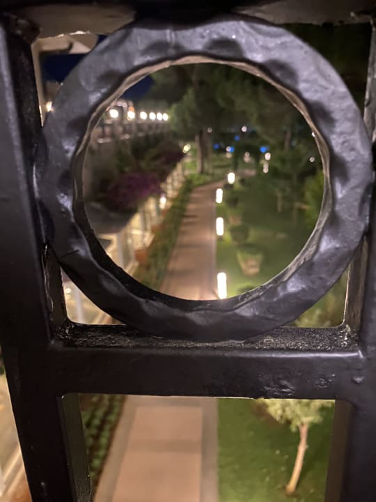 Sonstiges Papillon Ayscha