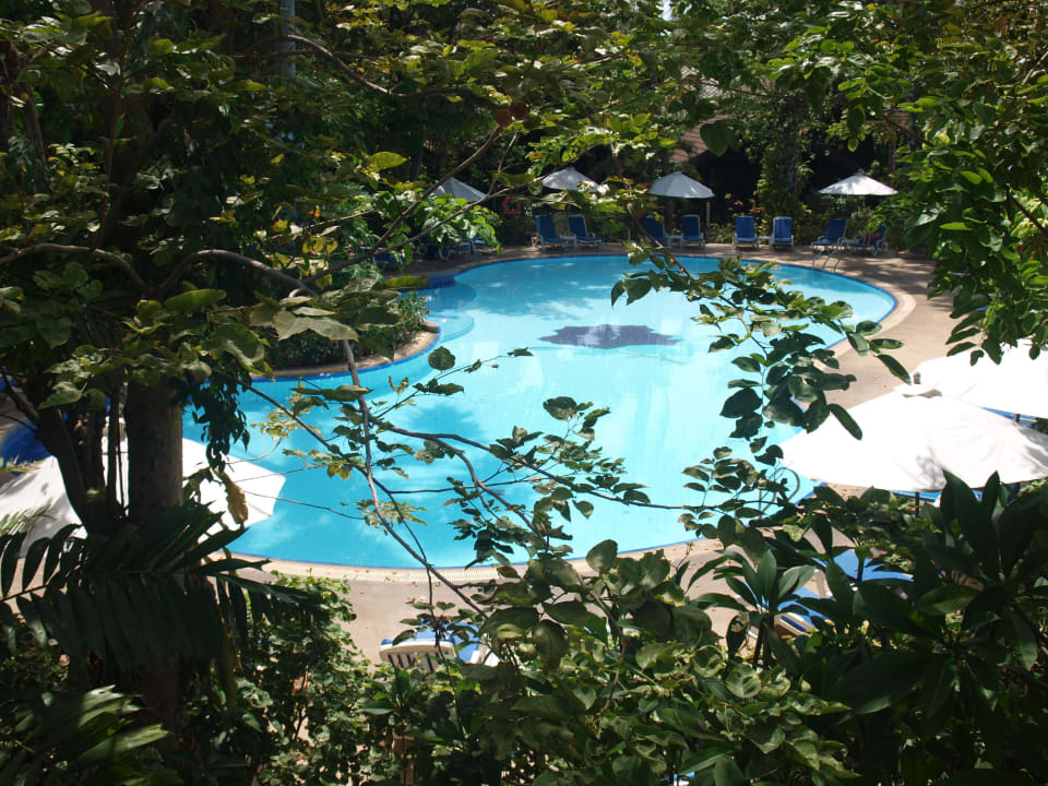 Großer Pool Paradise Beach Resort, Samui