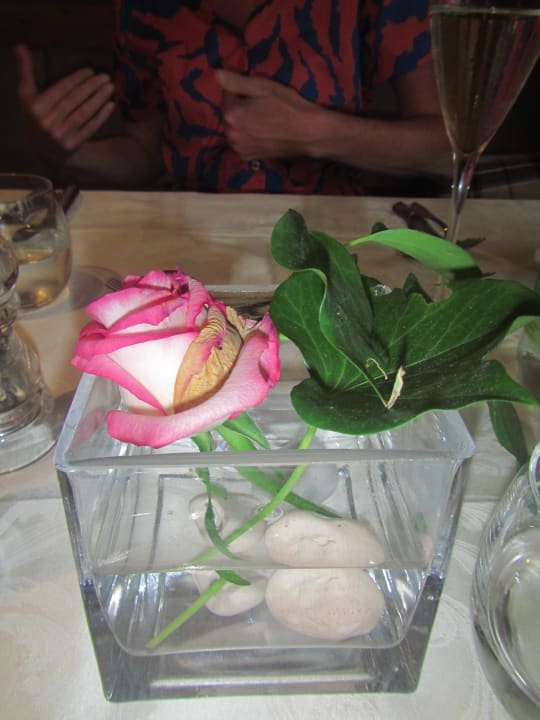 Gastro Hotel Sulfner