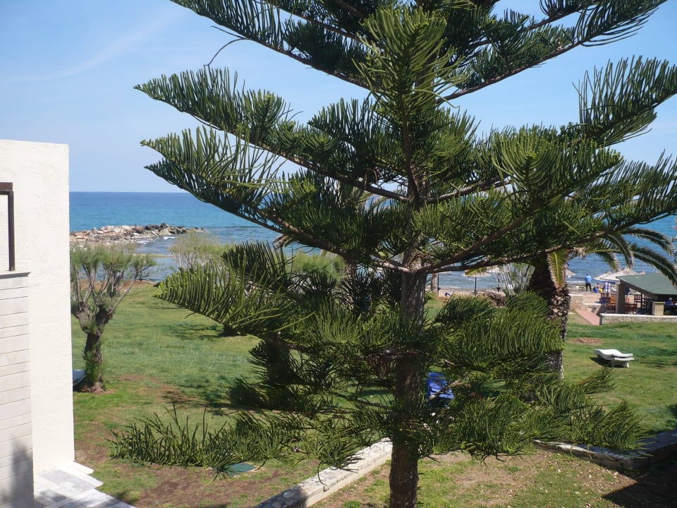 Balkonblick Phãea Cretan Malia