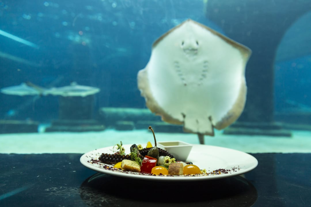 Gastro The Land of Legends Kingdom Hotel