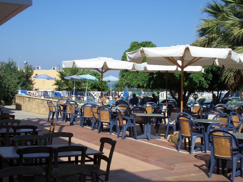 Blick richtung Pool Hotel Paloma Garden