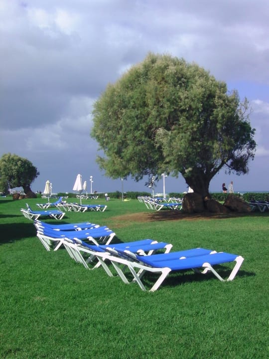Früh morgens noch freie Liegen Lyttos Beach Hotel