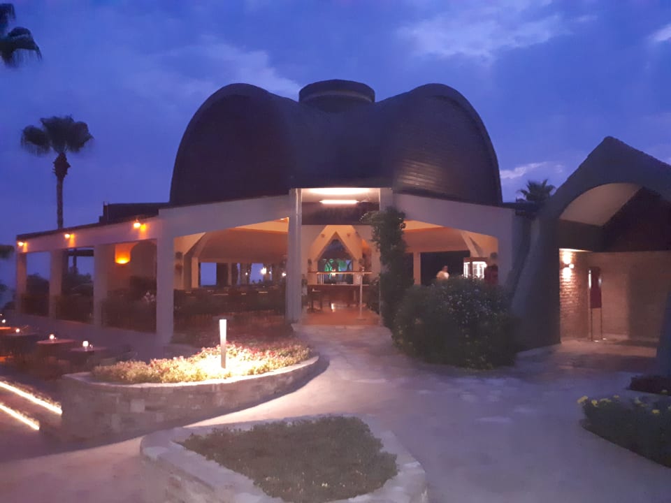 Gastro Arum Barut Collection