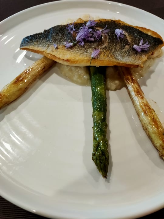 Gastro Hotel Schwengerer