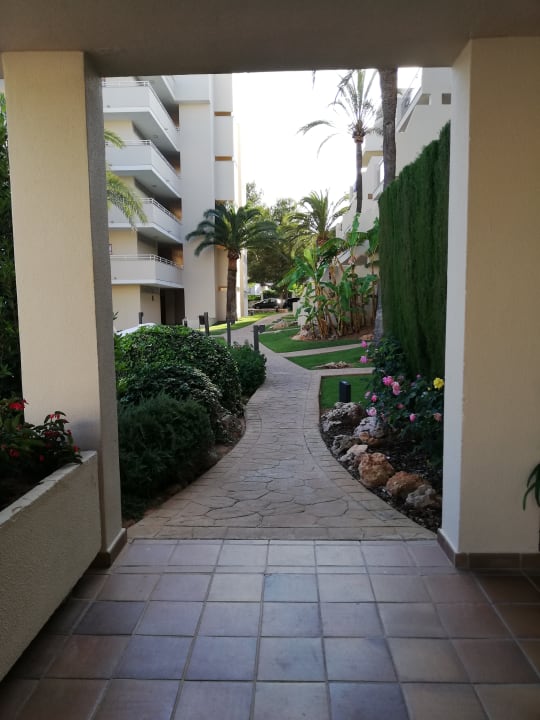 Gartenanlage Protur Floriana Resort Aparthotel