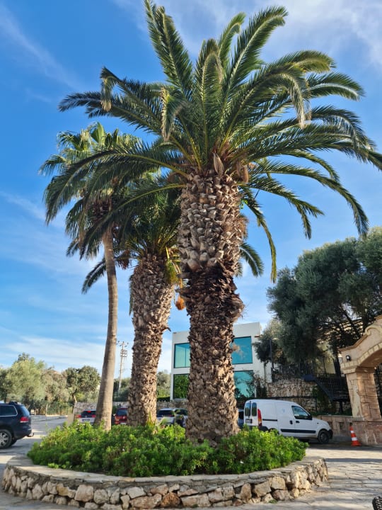 Außenansicht Club Resort Atlantis