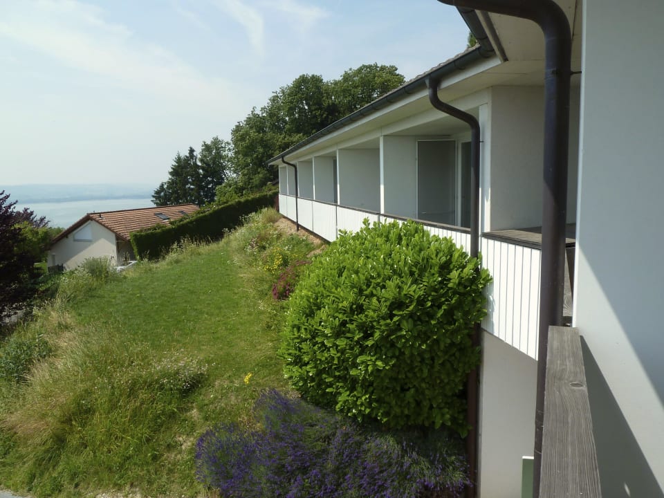 Das Hotel ist nur 1 Stöckig Hotel-Restaurant Mont Vully