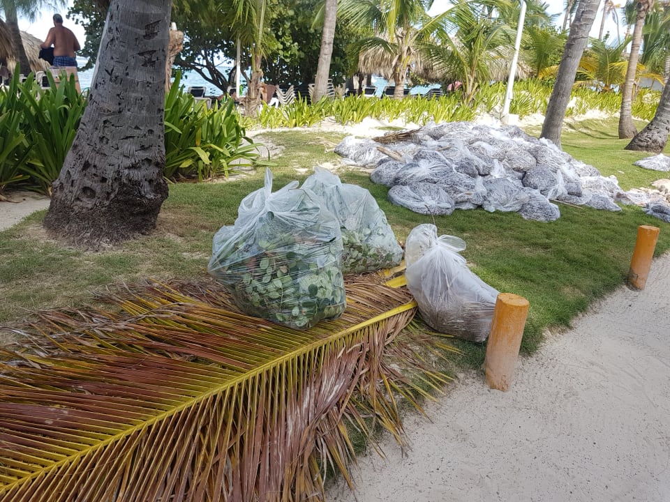 Gartenanlage Hotel Grand Palladium Palace Resort, Spa & Casino