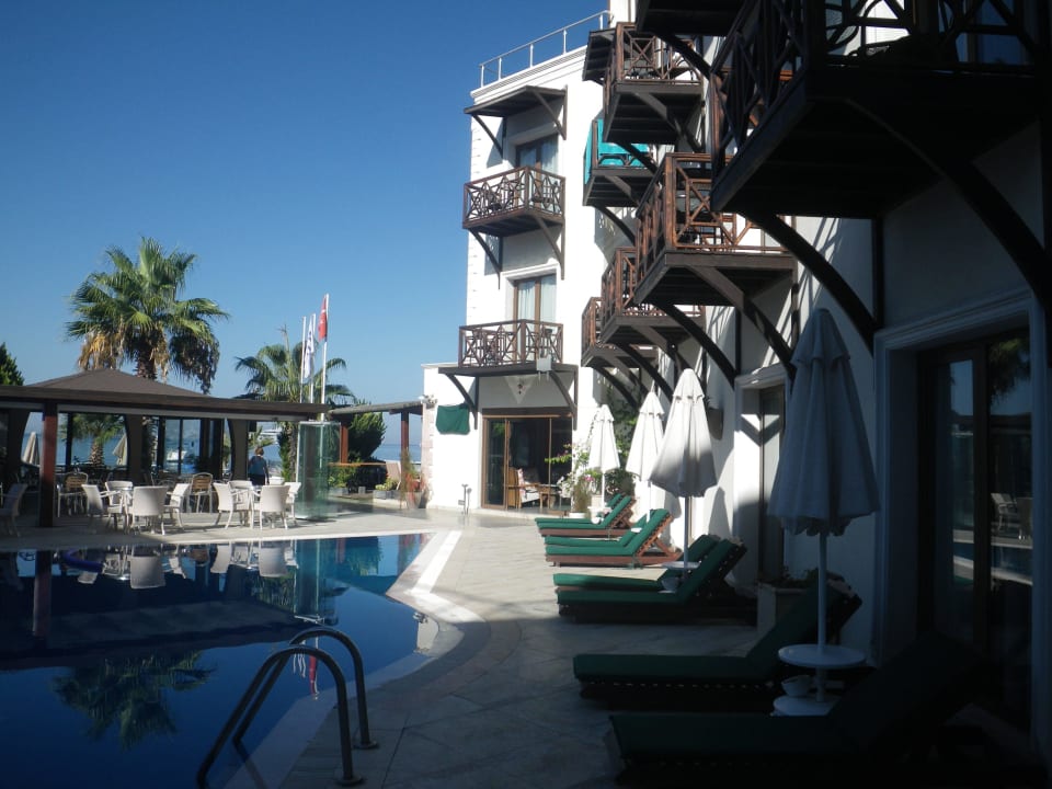 Главное здание и бассейн Hotel Elite Bodrum