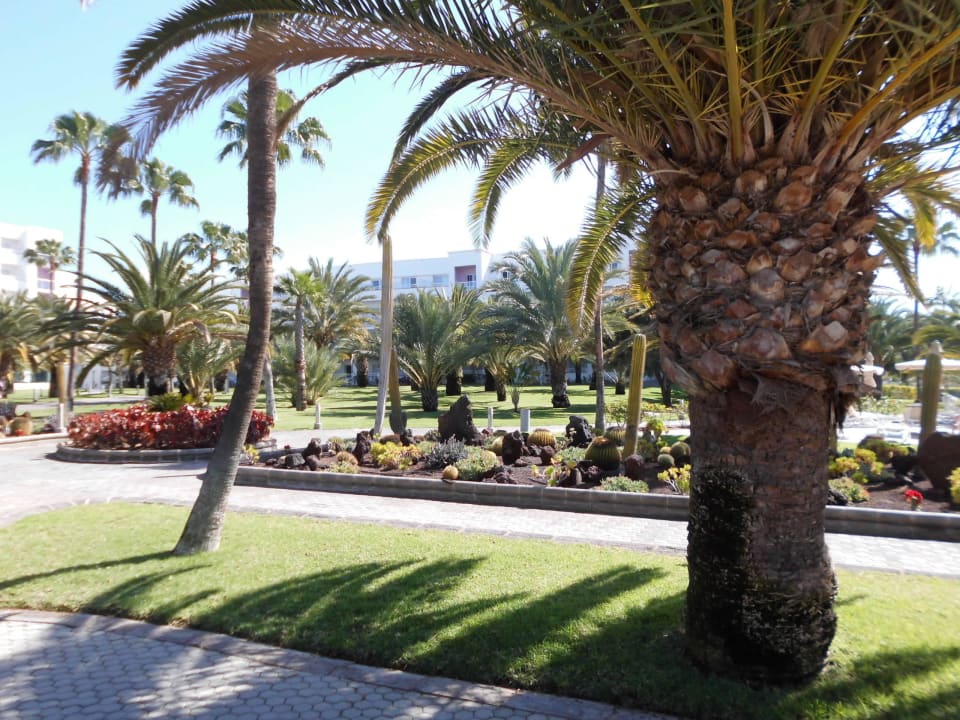 Gartenanlage Hotel Riu Gran Canaria
