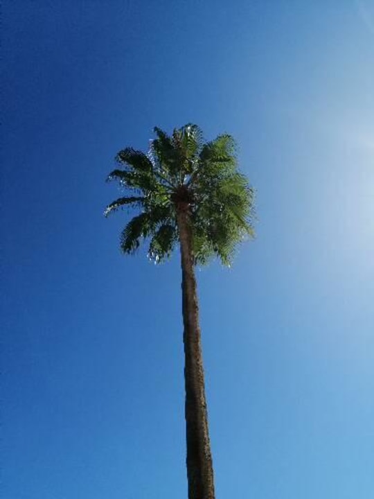 Gartenanlage Saphir Resort & Spa