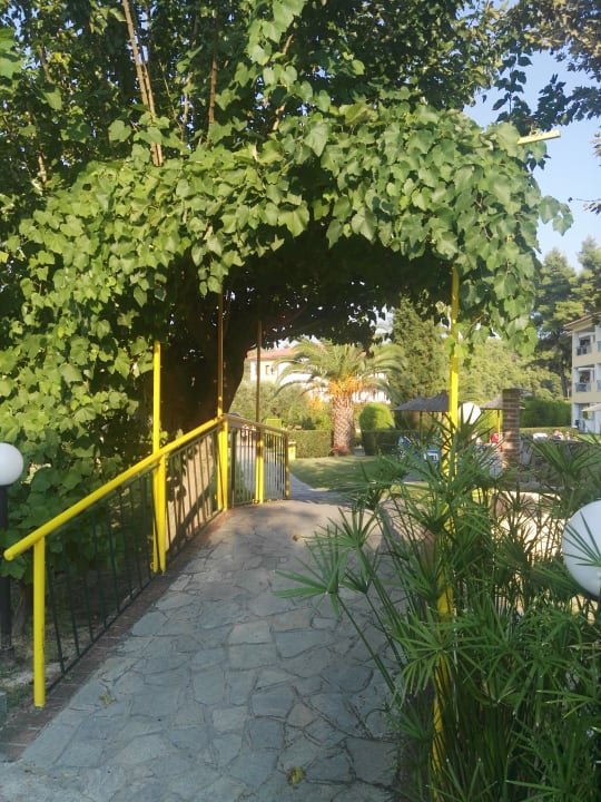 Außenansicht Hotel Chrousso Village