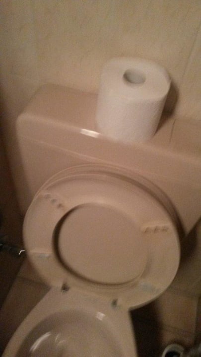 Defekter Klodeckel Hotel Alt Ebingen