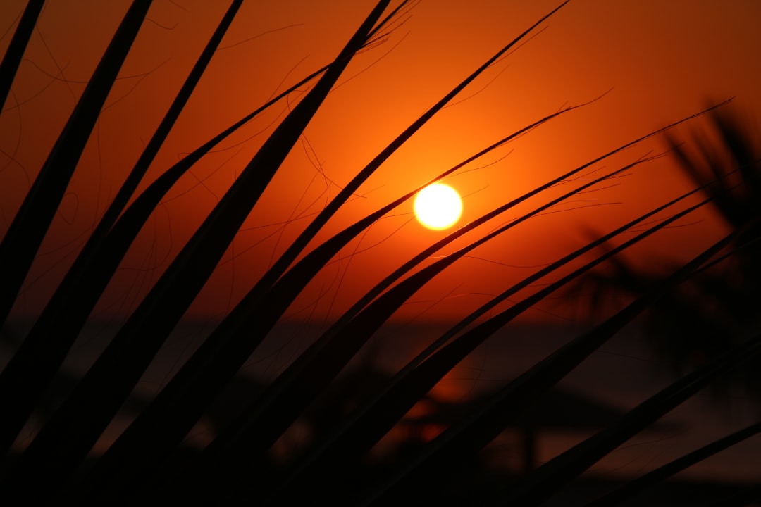 Gartenanlage Shams Prestige Abu Soma-Adults Only