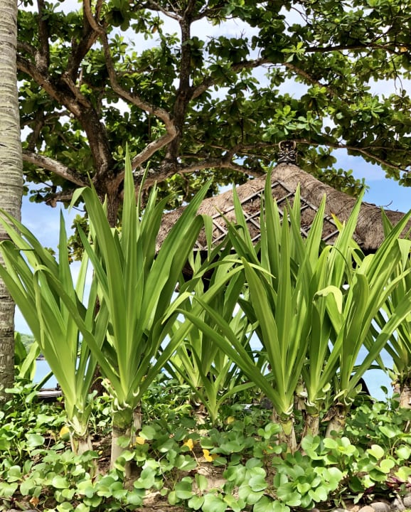 Gartenanlage InterContinental Bali Resort