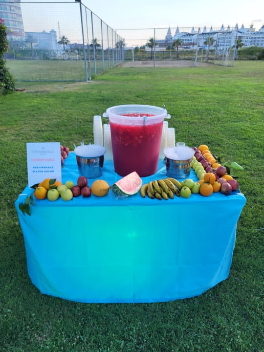 Gartenanlage Dream World Aqua Hotel