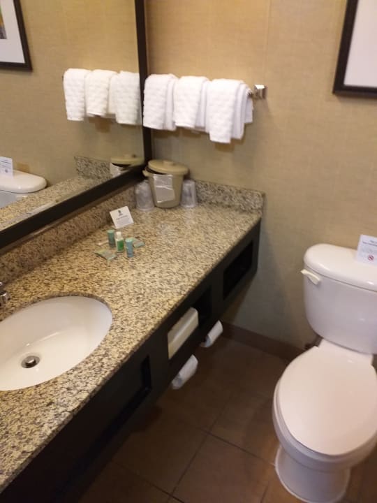 Zimmer Holiday Inn Pittsburgh-Monroeville