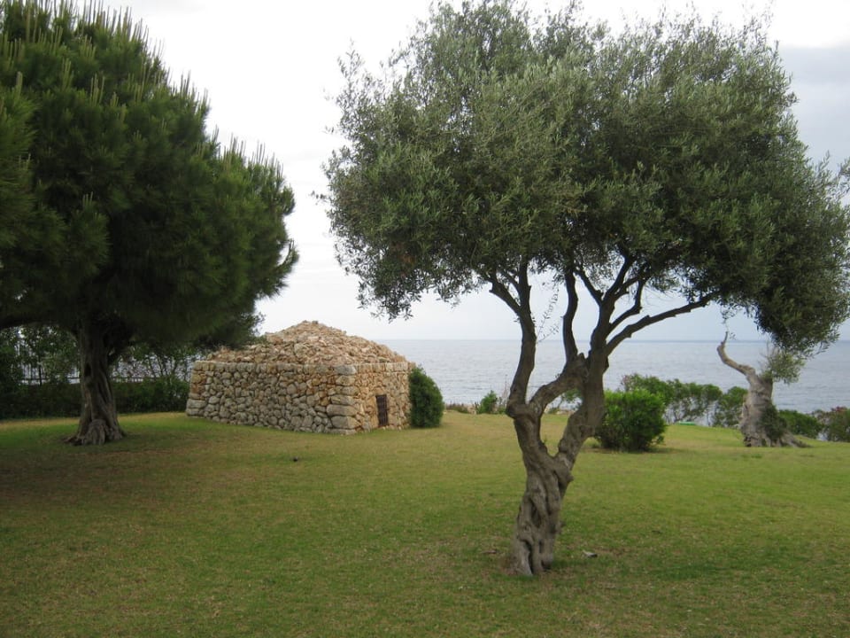 Im Garten blau punta reina