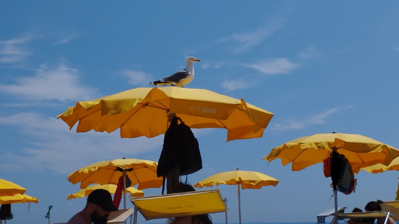 Strand Hotel Argentina