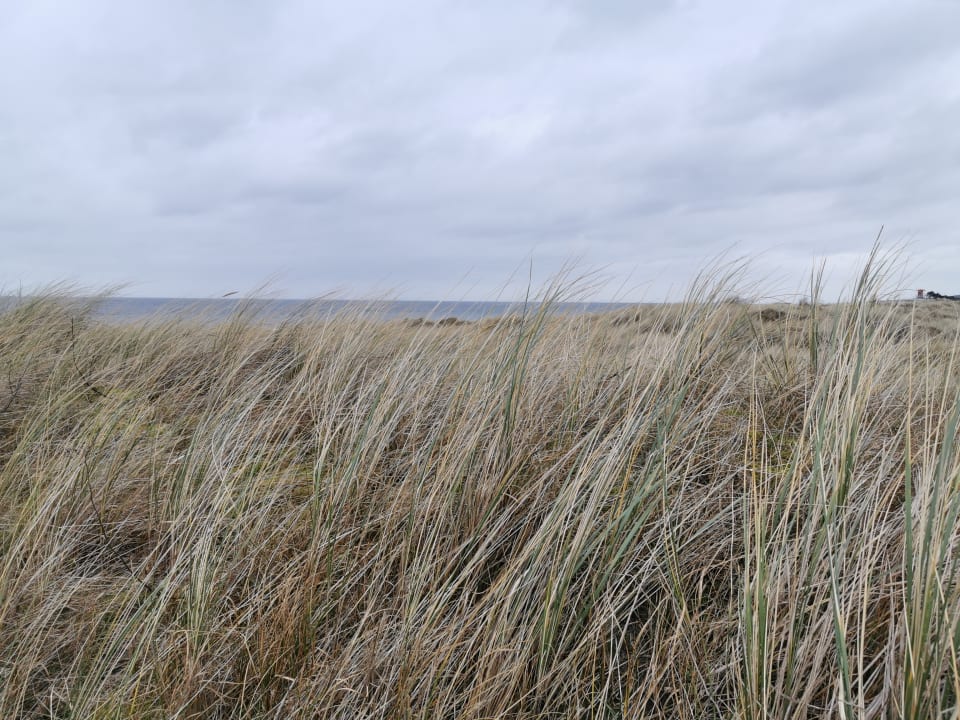 Strand Ferienwohnungen Ferienpark Weissenhäuser Strand