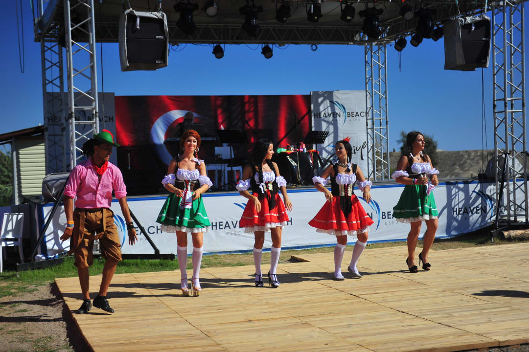 Oktoberfest  Asteria Bloom Side