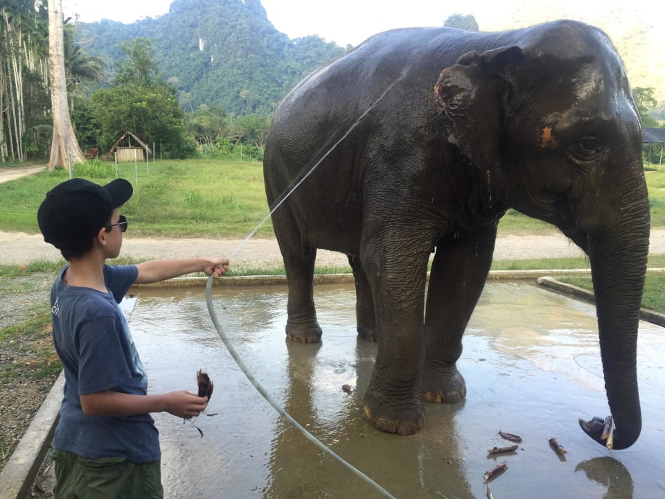 Elephanten - Handwäsche... Elephant Hills