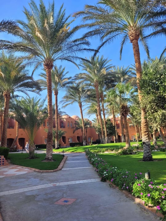 Außenansicht Jaz Makadi Oasis Resort