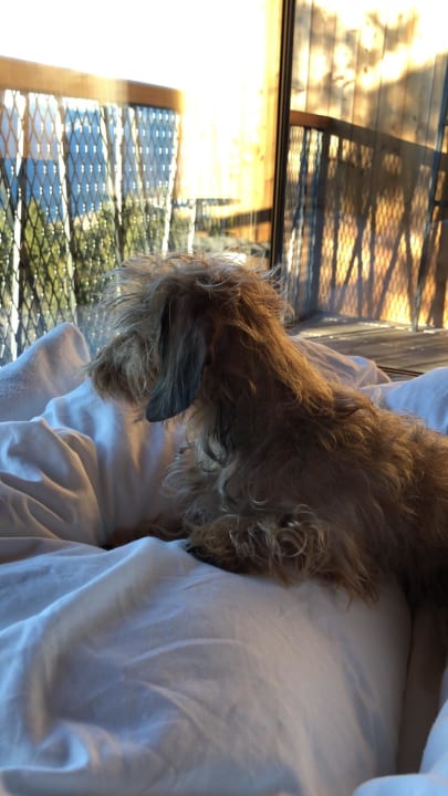 Zimmer My Arbor - Dolomites