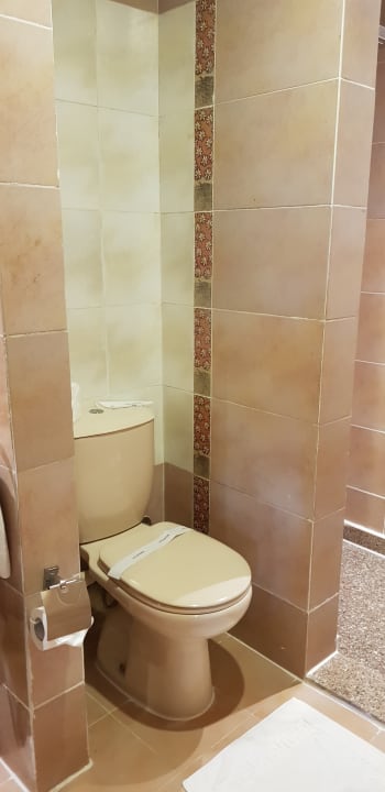 Zimmer Pickalbatros Palace Resort