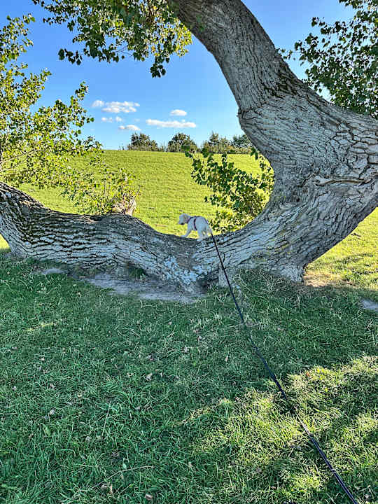Ausblick Ferienwohnungen Ferienpark Weissenhäuser Strand
