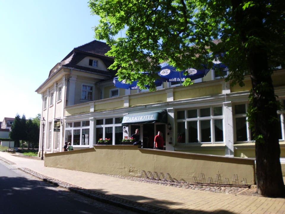 Hoteleingang Parkhotel Pretzsch