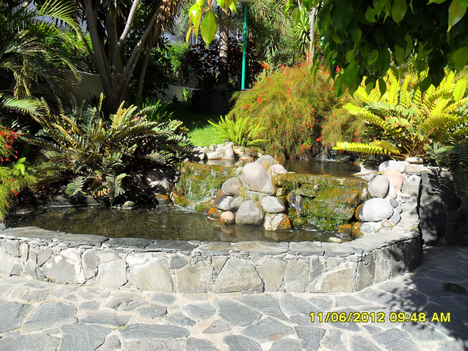 Schöner Garten allsun Hotel Lucana